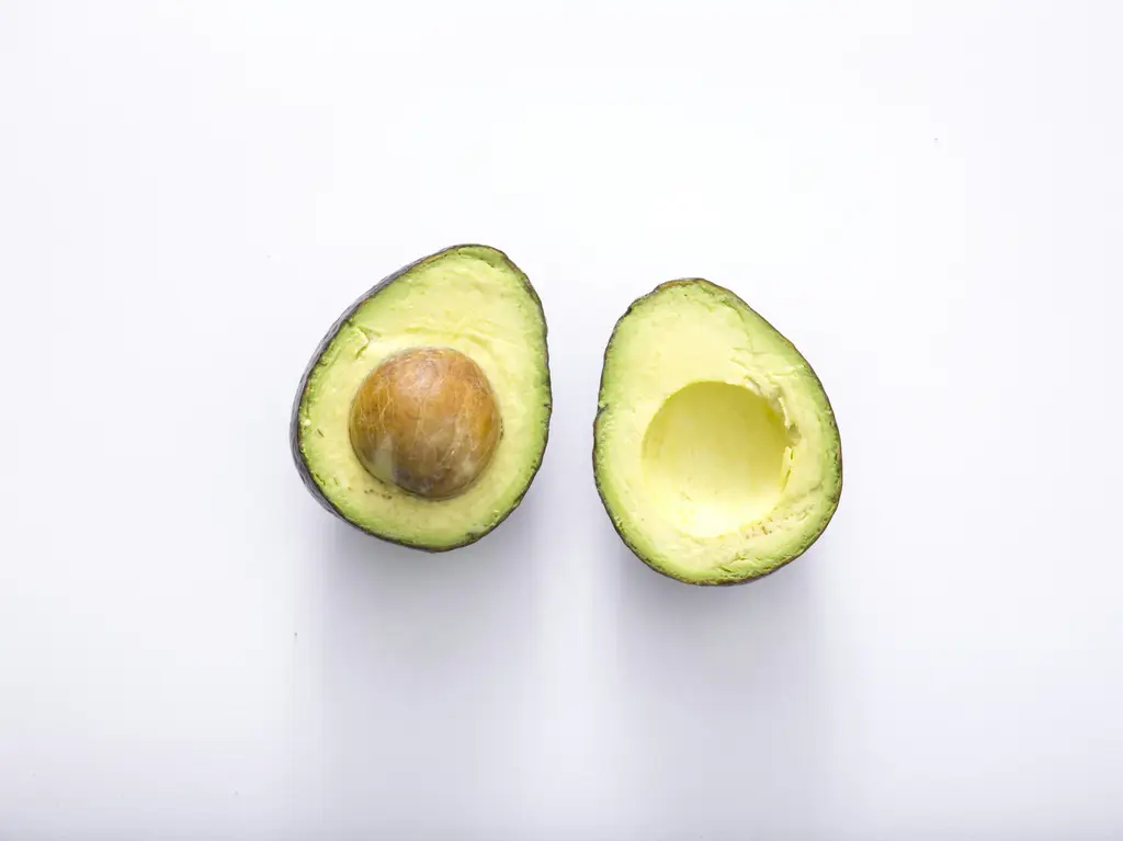 老年素食蛋白質：銀髮族健康飲食指南